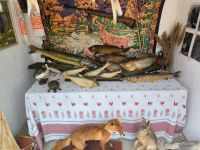 Музей им. Г. Я. Бахчиванджи станицы Бриньковской