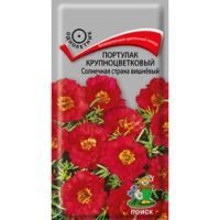 Портулак крупноцветковый Солнечная страна вишнёвый