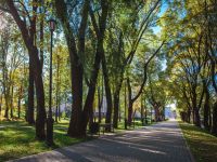 Сад им. Я. М. Свердлова