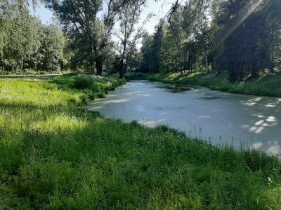 Пруд Верхний Розовопавильонный с плотиной