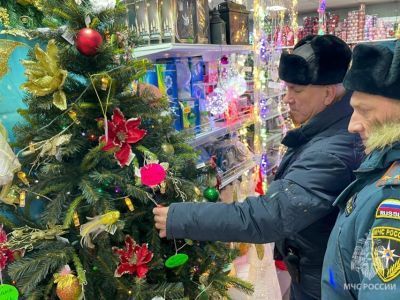 Сотрудники МЧС Якутии приняли участие в акции «Елка добра»