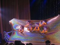 Центр культуры и досуга «Молодежный» г. Нижнего Новгорода