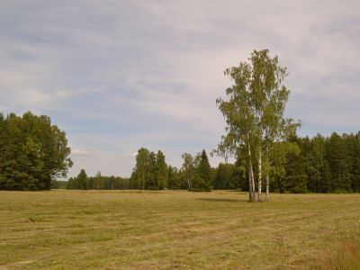 Парк