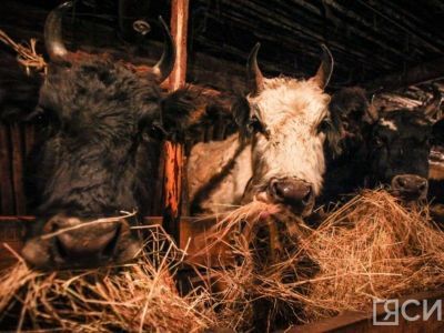 С 1 января в Якутии изменятся принципы финансирования сельского хозяйства