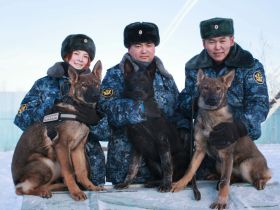 Новые щенки начнут службу в УФСИН Якутии