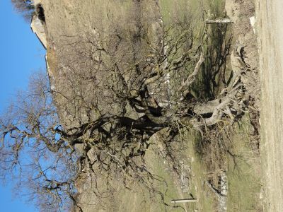 Мавзолей-захоронение-пир (Молла-Гамзата, сына Исмаила Пенджинского)