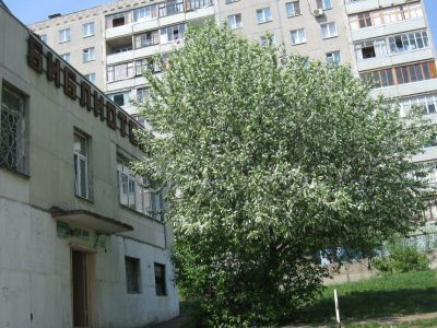 Библиотека № 23 г. Уфы