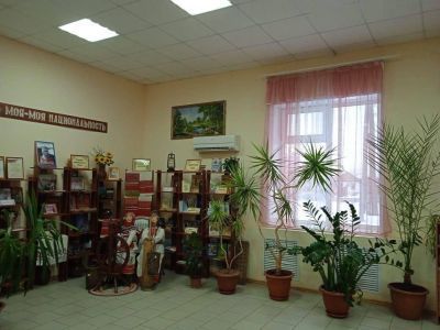 Пронькинская библиотека