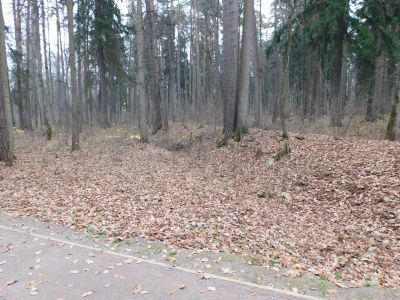 Граничные валы и канавы вдоль северной границы Аполлоновой рощи