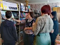 Красномаяковская библиотека