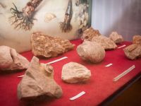 Историко-мемориальный музейный комплекс «Бобрики»