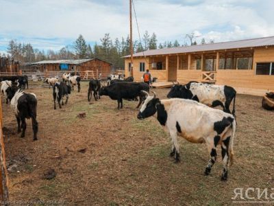 Фермер Айсен Парников: Спрос на продукцию животноводства будет только расти