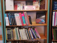 Центральная детская библиотека р. п. Новые Бурасы