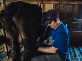 День сайылыка в Якутии: прогулка по летней ферме в Намском улусе