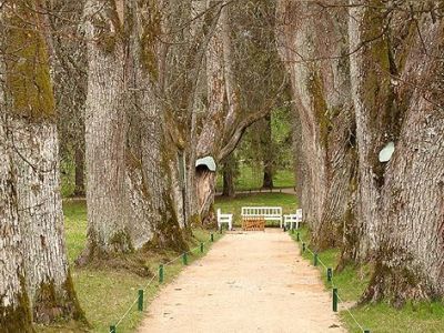 Усадебный парк