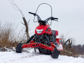 Снегоход IRBIS Dingo T150