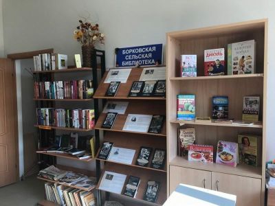 Борковская сельская библиотека