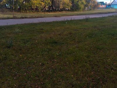 Братская могила партизан