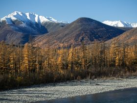 Автотур "Колыма". Маршрут: Якутск-Оймякон-Магадан (Летний сезон)