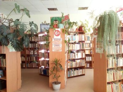 Детская библиотека Александро-Невского района