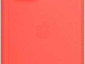 Чехол Apple