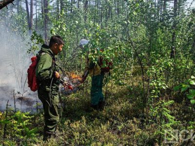 В Якутии не зафиксировано действующих лесных пожаров