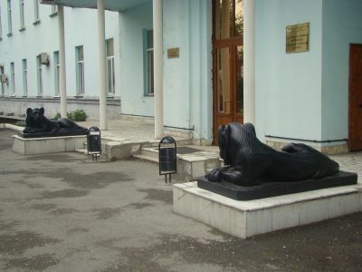 Решетка ограды и скульптуры львов у входа в Александровскую губернскую больницу