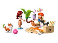 Friends 42641 Конструктор Собаки-сёрфингисты и приключения на скутере