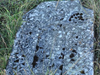 Могила шейха