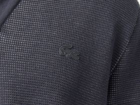 Мужской свитер Lacoste