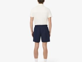Мужские плавательные шорты Lacoste