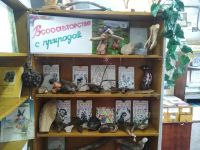 Варежская сельская библиотека – сельский информационный центр