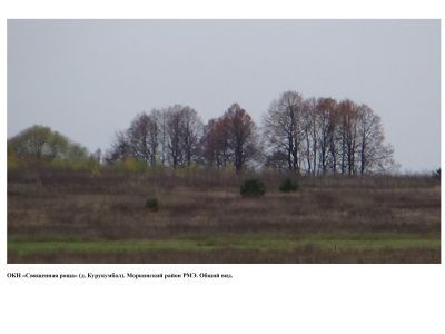 Священная роща