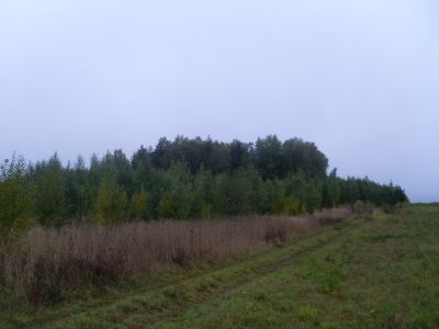 Священная роща