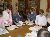 Библиотека семейного чтения г. Владимира