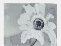 Палантин из вискозы с принтом