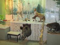 Исетский народный краеведческий музей им. А. Л. Емельянова