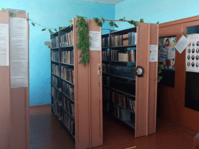 Библиотека с. Большая Таволожка