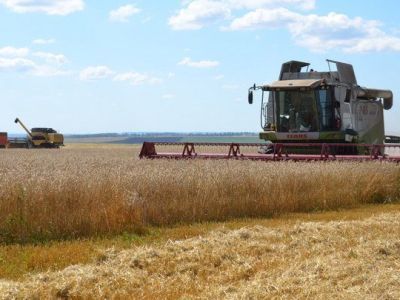 Россия в этом году ожидает рекордный урожай пшеницы
