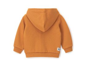 Толстовка на молнии для маленького мальчика