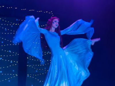 Синяя птица