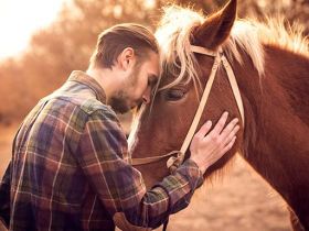 Фотосессия с лошадьми