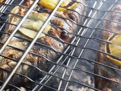 Какую рыбу лучше жарить на мангале