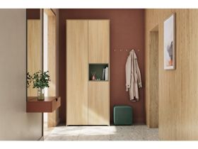 Распашной шкаф Висмар 2-103x240 Дуб Барбера