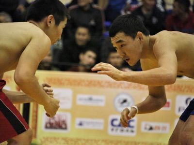 Более 250 хапсагаистов борются на турнире братьев Ноговицыных