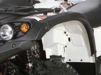 Квадроцикл BALTMOTORS Striker 400 EFI