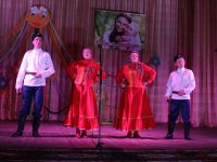 Черемисиновский районный дом культуры