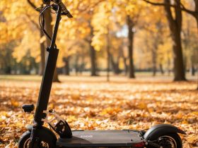 Самокат  Exegol ESEXS Pro 10, цвет Черный