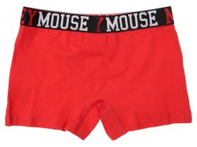 Трусы с принтом Disney для мальчика, 2 шт. в комплекте