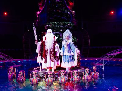 Билеты на Цирк на воде. Подводное царство (Екатеринбург-Экспо и МТС Live Холл) / Событие | Афиша | ИнфоТаймс